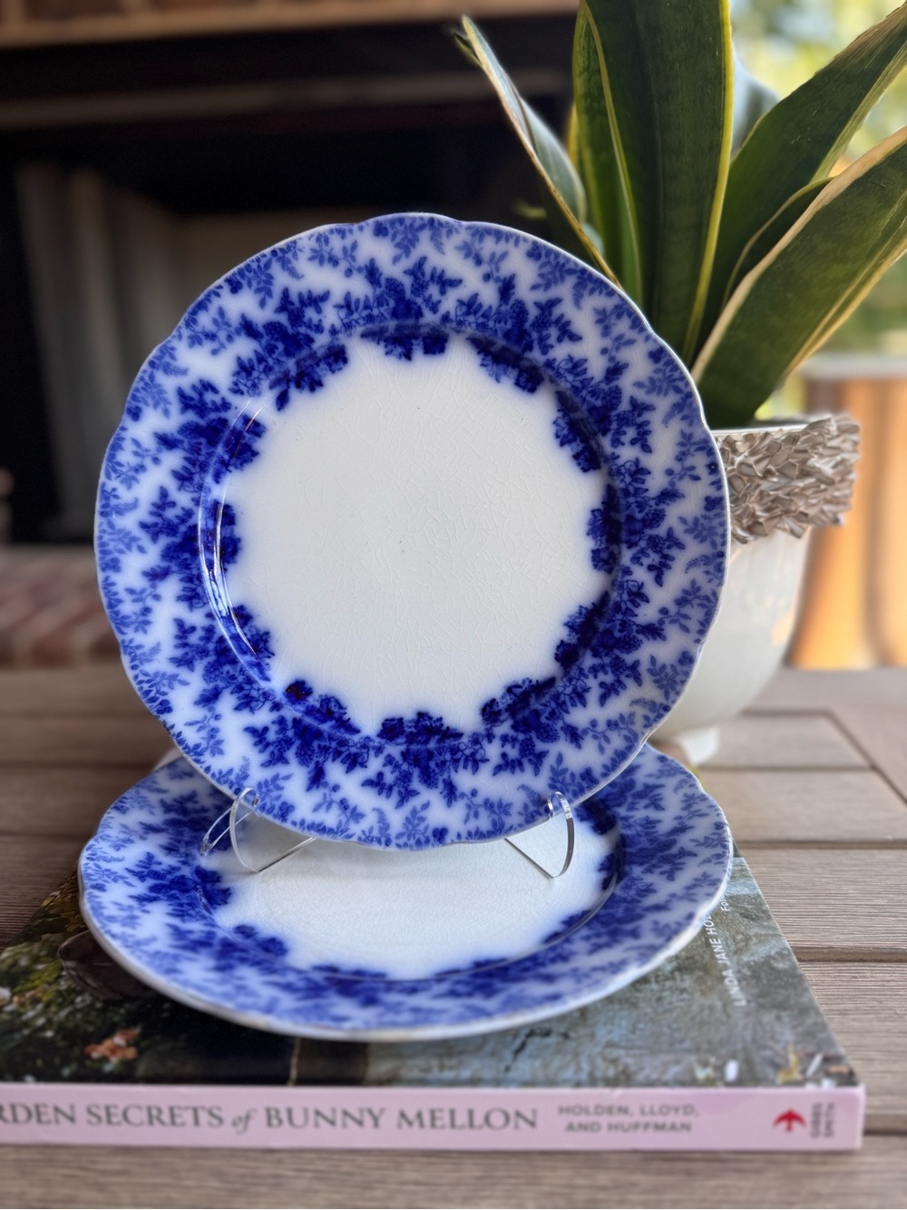 Antique Blue & White Plates